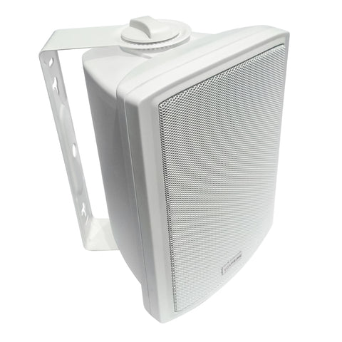 5” Full Range 2-way Multitap Indoor/Outdoor Cabinet Speaker – 70V